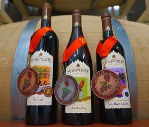 3 Medals From the Finger Lakes International Wine Competition